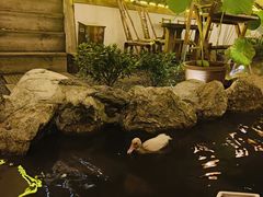 -伴山茶苑·一盏冰茶·半日山居