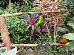 -南宫五洲植物乐园