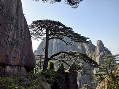 -黄山风景区