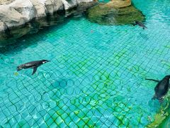 -上海野生动物园