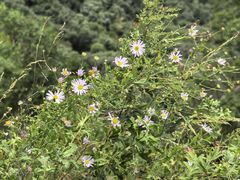 -终南山南五台景区