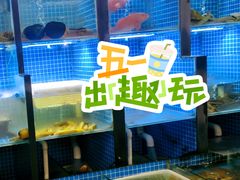 -金龙·打边炉(武进路店)
