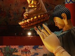 -上海东林寺(金山区)