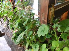 -吃货私房菜(丽江束河古镇店)