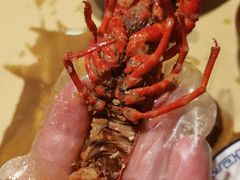 -江味龙虾馆·裸蓝龙虾(南山店)
