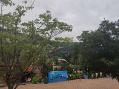 -重庆海昌加勒比海水世界