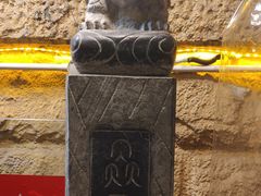 -镇江龙·火锅串串(武侯祠店)