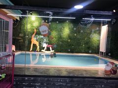 -Goku PET SHOP宠物视觉生活馆(双井店)