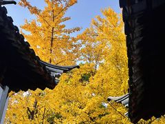 -西园戒幢律寺