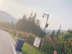 -习家池