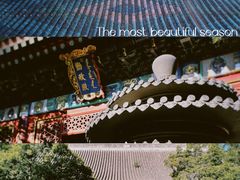 -香山公园