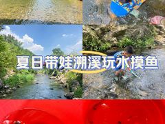 -羊山湖公园