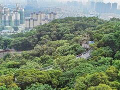 -金鸡山公园
