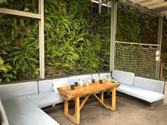 -Rainforest