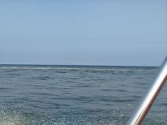 -日照世帆赛基地