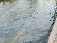 -DGE季风钓虾营地·团建·聚会