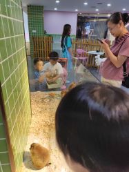 -Moni星球萌宠·小马宝莉·灵蛇·高端高阶全萌宠互动体验俱乐部(红豆国际广场店)