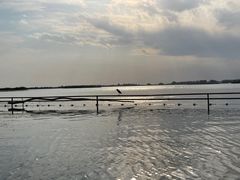 -白洋淀景区