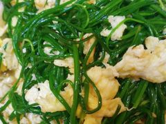 -一招鲜·全羊铺·蒙古奶茶(五一北路店)