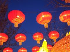 -南宫五洲植物乐园