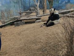 -鄂尔多斯野生动物园