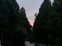 -佛慧山