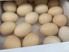 -芳群园二区便民菜篮子直营店