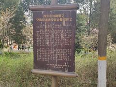 -西安青龙寺遗址景区