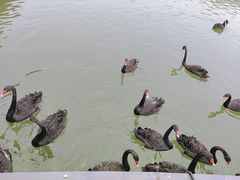 -河北省园博园
