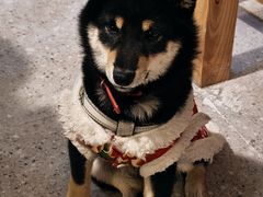 -00后的烤串·扬州地标烧烤(大运河博物馆店)