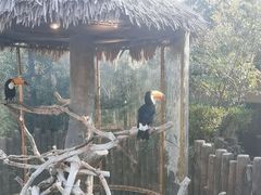 -上海野生动物园