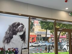 -瑞鹏宠物医院·微创内窥镜·骨外科·牙科(翠竹分院)