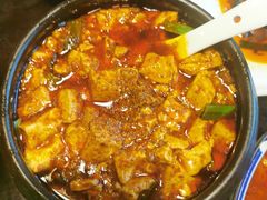-陈麻婆豆腐总店