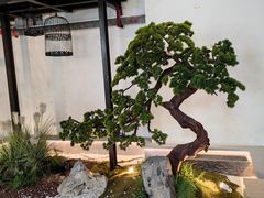 -蜜桃餐厅·伴山(湖滨商业街店)