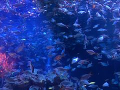 -成都浩海立方海洋公园