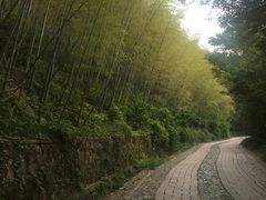 -紫金山天文台
