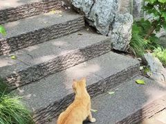 -吴山景区