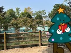 -苏州太湖西山岛开心农场