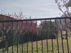 -堤角公园