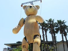 -济州岛泰迪熊博物馆