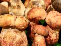 -一坐一忘云南菜(卓悦中心)