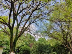 -龙头寺公园