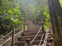 -武吉知马自然保护区