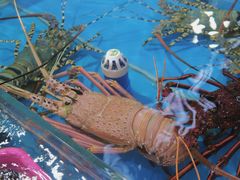 -四川小胡子海鲜(丁村万人海鲜广场店)