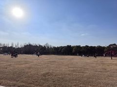 -柳鹭田园区