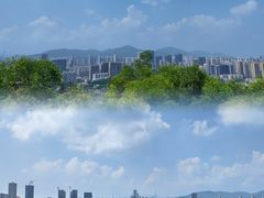 -板樟山森林公园