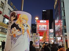 -秋叶原电器街