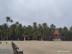 -东郊椰林