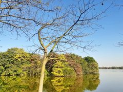 -海珠湖公园