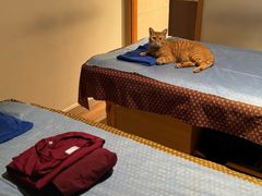 -慢活谷古法泰式按摩HarikyLand Thai Massage & Spa